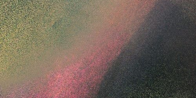 Poshmark banner for @cockroaches